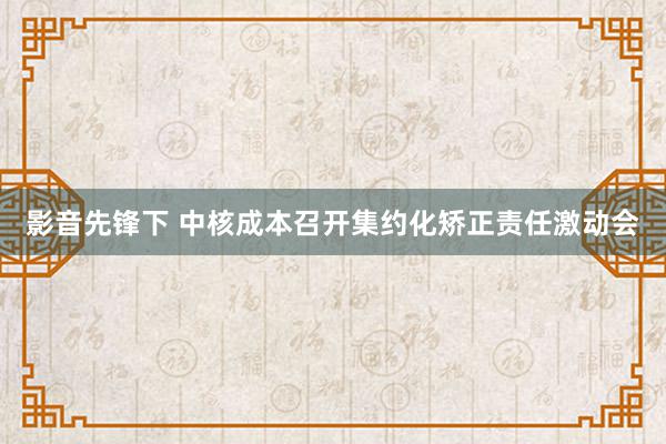 影音先锋下 中核成本召开集约化矫正责任激动会