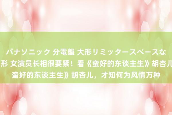 パナソニック 分電盤 大形リミッタースペースなし 露出・半埋込両用形 女演员长相很要紧！看《蛮好的东谈主生》胡杏儿，才知何为风情万种