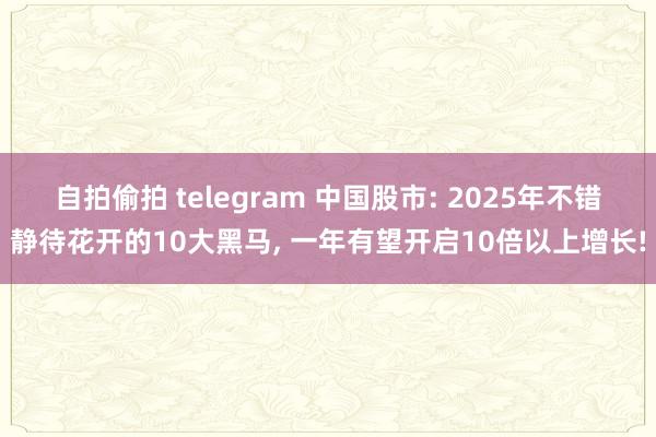 自拍偷拍 telegram 中国股市: 2025年不错静待花