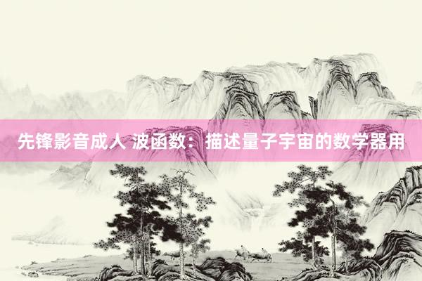 先锋影音成人 波函数：描述量子宇宙的数学器用